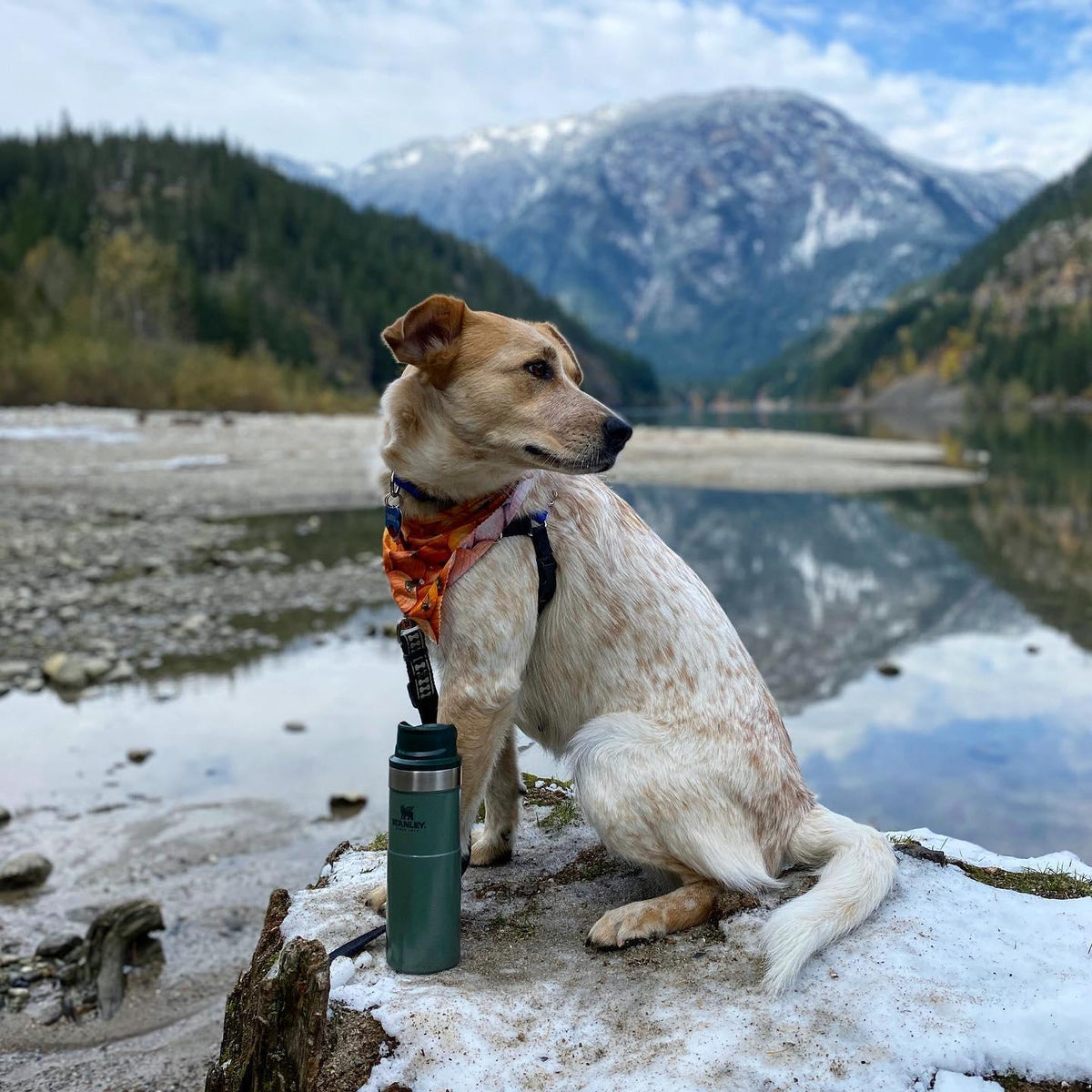 Stanley Trigger-Action Travel Mug Yeşil 0.47 L