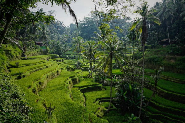 Bali’de balayı veya romantik gezileriniz için bu rehbere mutlaka göz atmalısınız - Termos Dünyası
