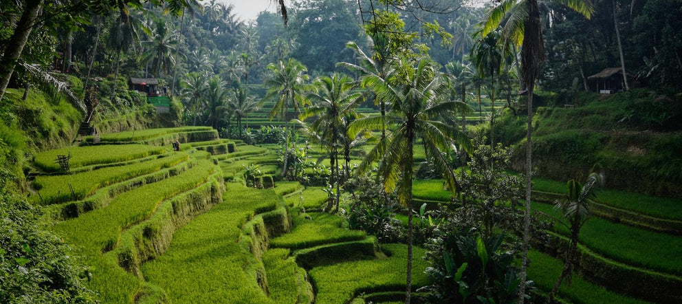 Bali’de balayı veya romantik gezileriniz için bu rehbere mutlaka göz atmalısınız - Termos Dünyası