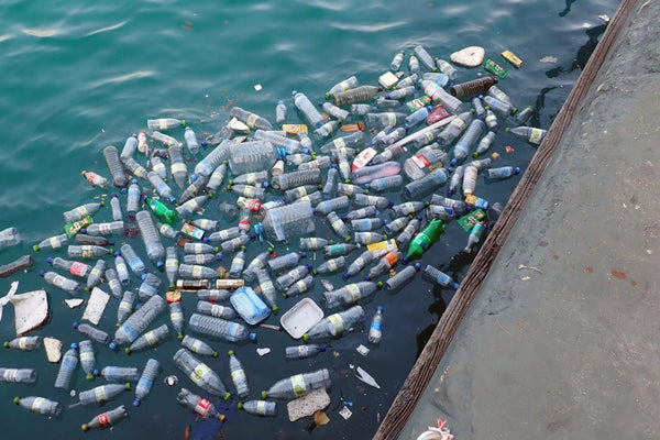 Denizde biriken plastik şişe ve atıklar, çevre kirliliğine dikkat çekiyor.