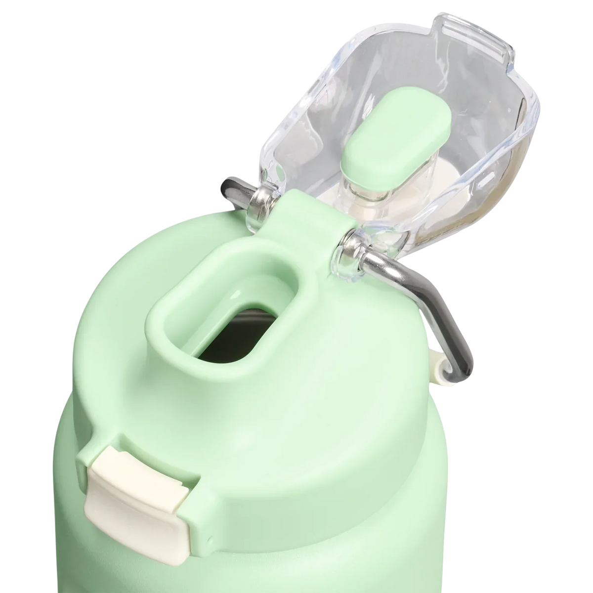 Stanley Classic Wellspring Bottle 0,70 LT Pistacchio