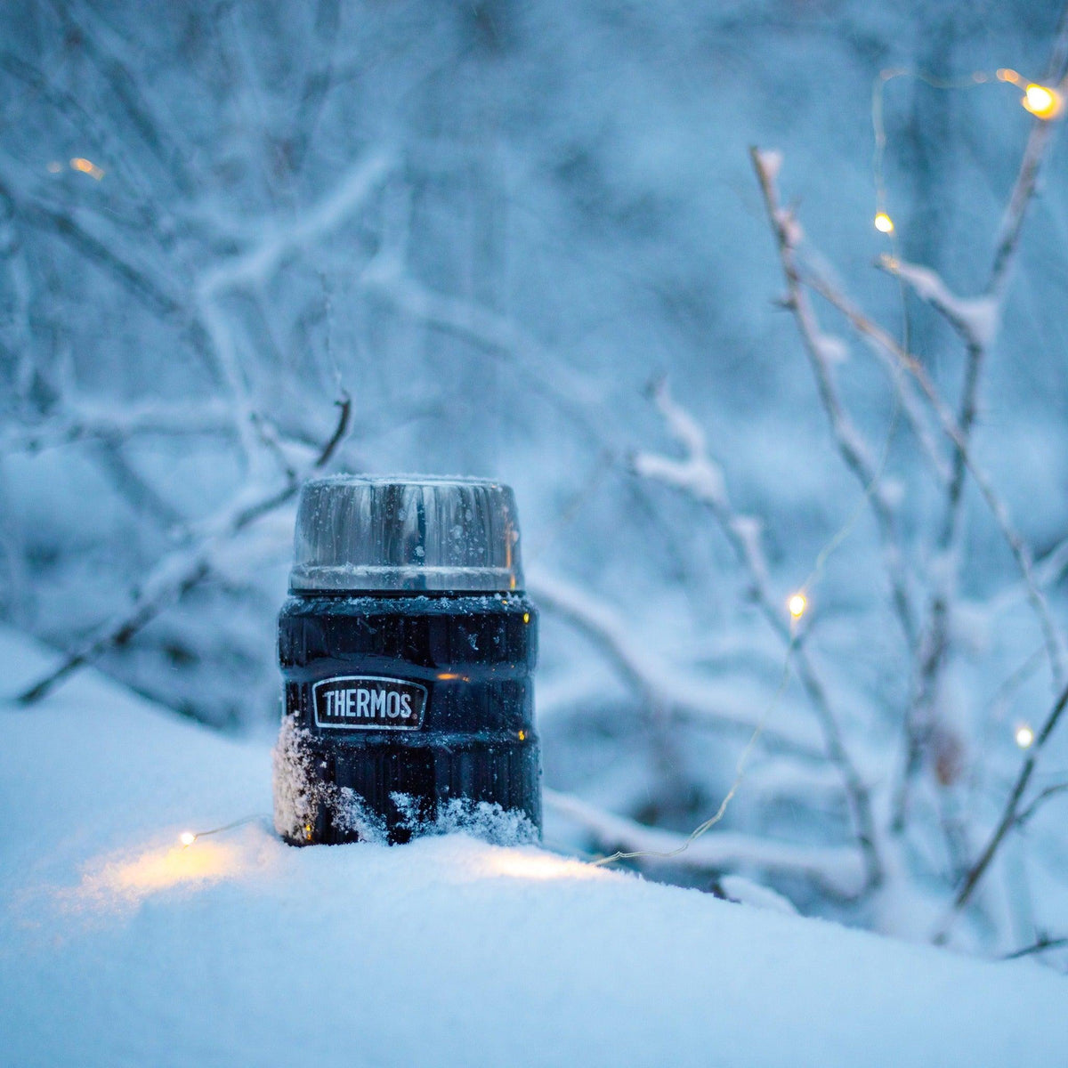 Thermos Çelik Yemek Termosu Lacivert 0.47 L